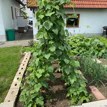 Ferienwohnung Eibenweg Gebsattel Экстерьер фото