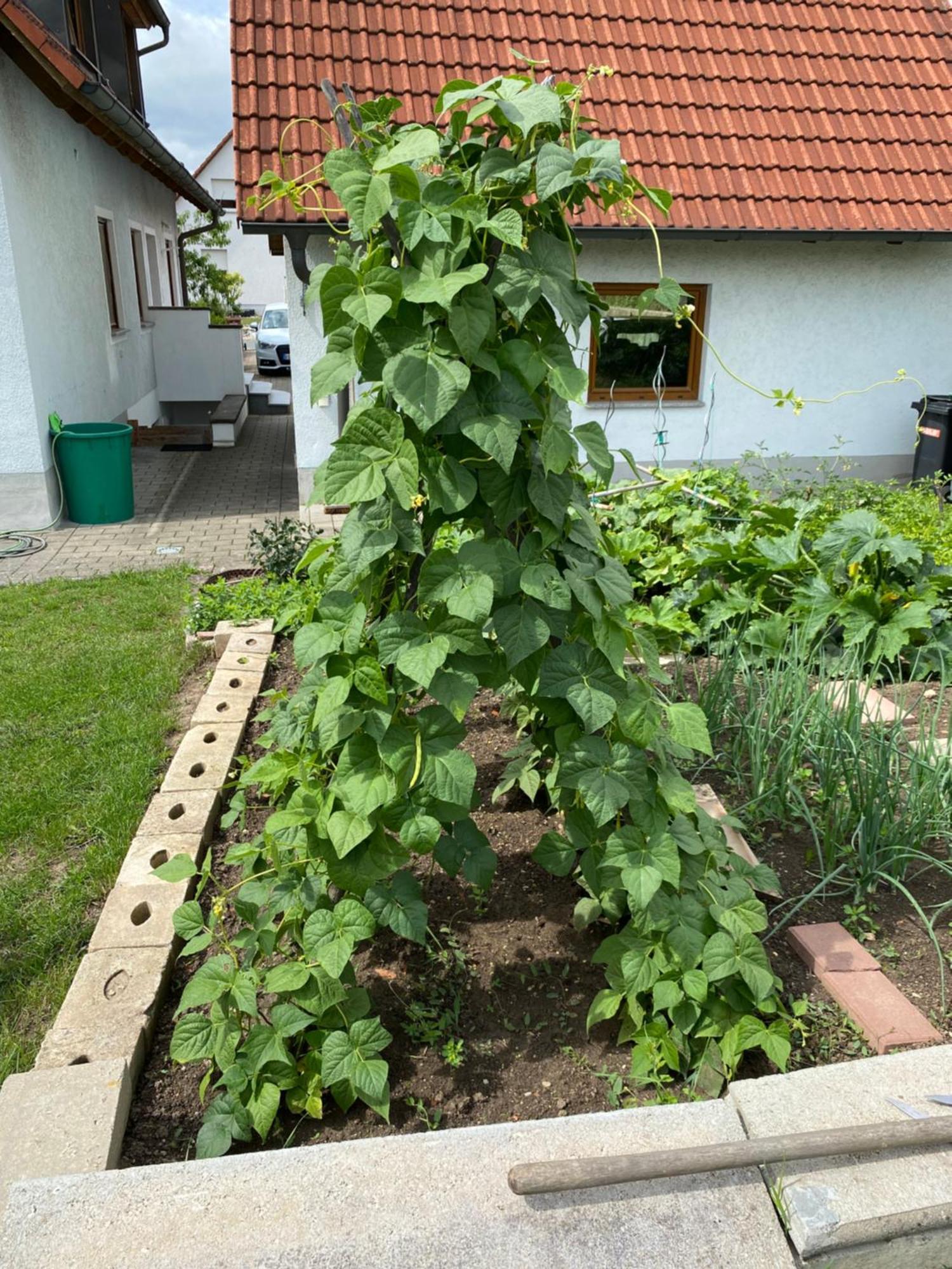 Ferienwohnung Eibenweg Gebsattel Экстерьер фото
